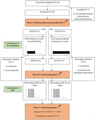 Short-Term and Lifelong Exercise Training Lowers Inflammatory Mediators in Older Men